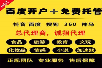 行业领先企业的SEM运营策略案例解析